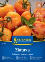 Pomidor sałatkowy Zlatava przód.jpg