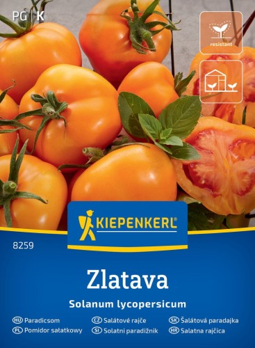 Pomidor sałatkowy Zlatava przód.jpg