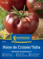 Pomidor mięsisty Noire de CriméeYalta przód.jpg
