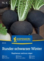 Rzodkiew Runder schwarzer Winter przód.jpg