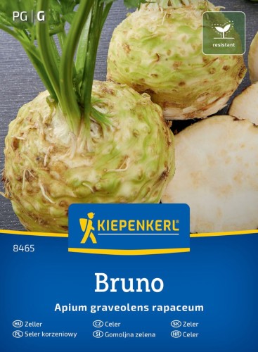 Seler korzeniowy Bruno przód.jpg