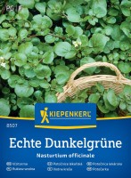 Rukiew wodna Echte Dunkelgrüne przód.jpg