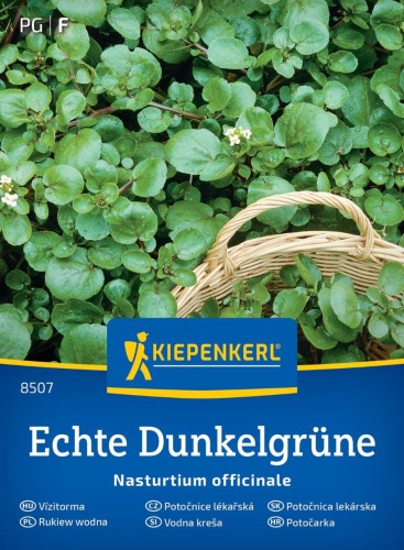 Rukiew wodna Echte Dunkelgrüne przód.jpg