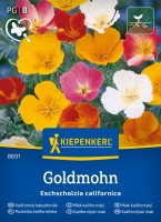 Pozłotka kalifornijska Goldmohn przód.jpg