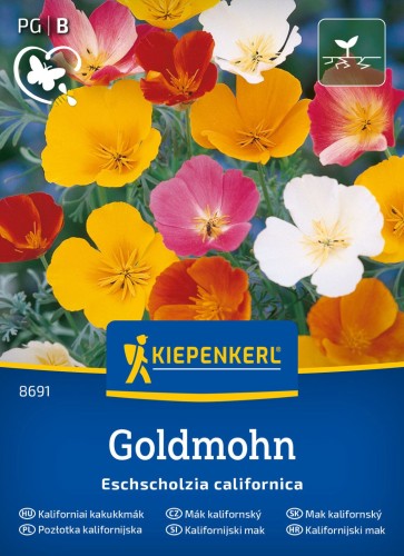 Pozłotka kalifornijska Goldmohn przód.jpg