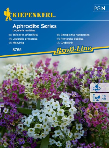 Smagliczka nadmorska Aphrodite Series przód.jpg