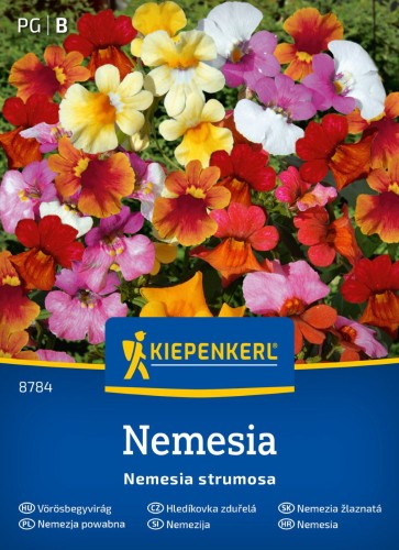 Nemezja powabna Nemesia przód.jpg