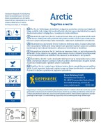 Aksamitka wzniesiona Arctic tył.jpg