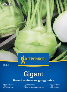 Kalarepa Późna 'Gigant' – Nasiona – Kiepenkerl