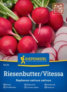 Rzodkiewka 'Vitessa' – Nasiona – Kiepenkerl