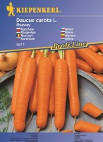 Marchew 'Flyaway' F1 – Odporna – Nasiona – Kiepenkerl.jpg