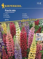 Łubin Trwały Mieszanka – Nasiona – Kiepenkerl.jpg