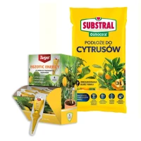 Zestaw do cytrusów w doniczce Ziemia do Cytrusów Substral 3 l + Odżywka Egzotic Energy Target 35 ml.webp