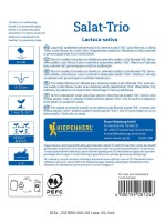 Sałata liściowa tył.jpg