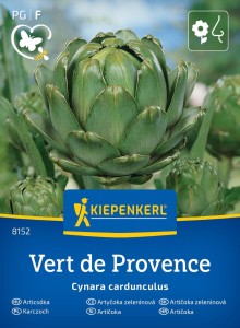Karczoch 'Vert de Provence' – Wieloletni – Nasiona – Kiepenkerl