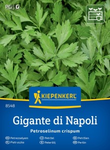 Pietruszka Naciowa 'Gigante di Napoli' – Nasiona – Kiepenkerl