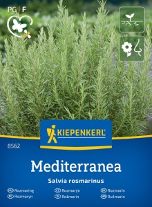 Rozmaryn Lekarski Mediterranea – Nasiona – Kiepenkerl
