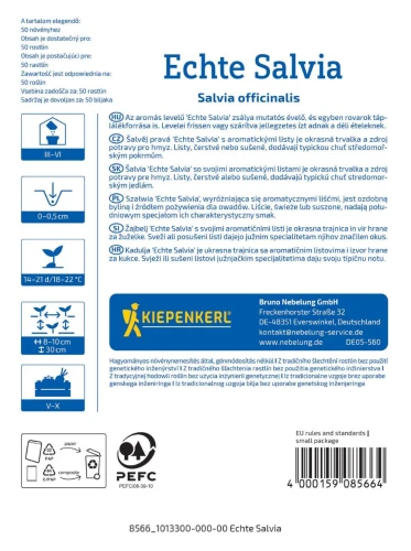Szałwia tył.jpg
