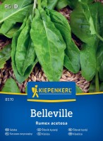 Szczaw zwyczajny przód.jpg