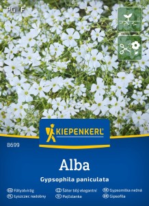 Gipsówka – Łyszczec nadobny Alba – Nasiona – Kiepenkerl