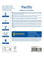 Ostróżka ogrodowa tył.jpg