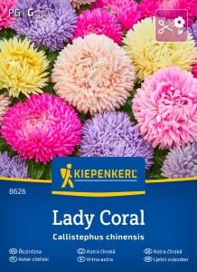 Aster Chiński 'Lady Coral' Mix – Nasiona – Kiepenkerl