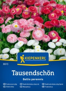 Stokrotka Pospolita – Nasiona – Kiepenkerl