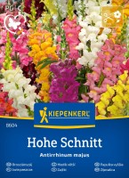 Lwia paszcza Hohe.jpg