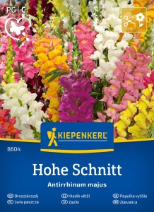 Lwia Paszcza Wysoka Hohe Schnitt – Nasiona – Kiepenkerl