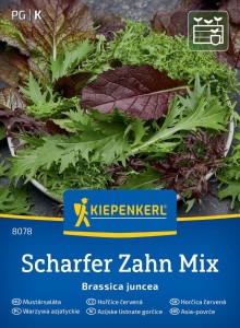 Sałata Musztardowa – Mix – Nasiona – Kiepenkerl