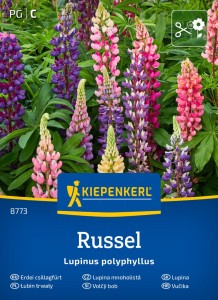 Łubin Trwały Mieszanka – Nasiona – Kiepenkerl