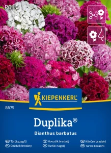 Goździk Brodaty 'Duplika' Mix – Nasiona – Kiepenkerl