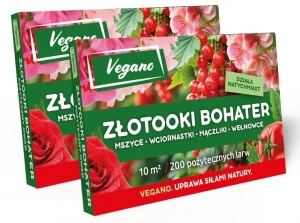 Złotooki bohater Vegano - 400 larw - 20 m2 ochrony