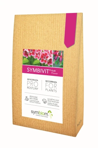 kwiaty.jpg