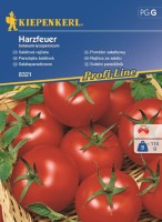 Pomidor Wczesny 'Harzfeuer' F1 – Nasiona – Kiepenkerl - przód