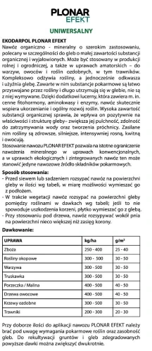 104781 tył - 1.jpg