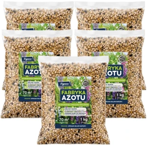 Mieszanka poplonowa Fabryka Azotu – 5 kg – wzbogaca i chroni glebę do 350 m² – Vegano