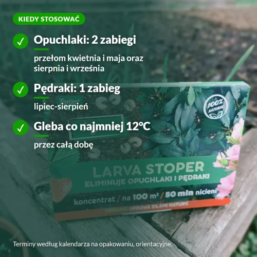 Kiedy stosować nicienie na opuchlaki i pędraki