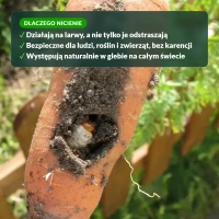 Dlaczego nicienie: bezpieczne, bez karencji