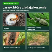 Larva Stoper: na jakie szkodniki
