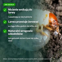 Jak działają nicienie Larva Stoper