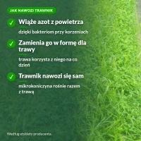 Jak mikrokoniczyna nawozi trawnik azotem