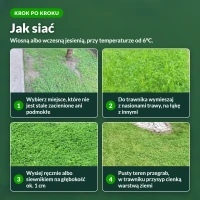 Jak siać mikrokoniczynę