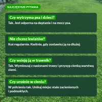 Mikrokoniczyna: najczęstsze pytania