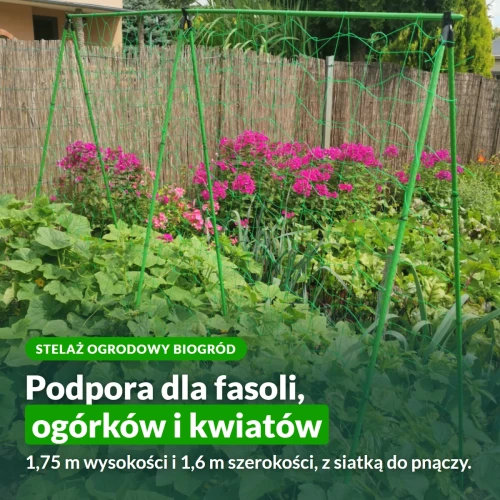 Stelaż ogrodowy Biogród do fasoli i ogórków
