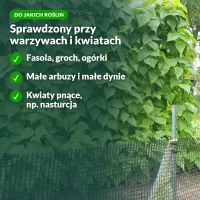 Stelaż ogrodowy: do jakich roślin