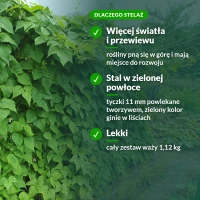 Dlaczego stelaż do roślin pnących