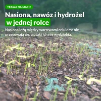 Trawa na rolce: nasiona, nawóz i hydrożel w jednej macie