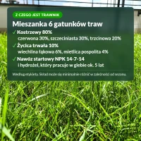 Trawa na rolce: skład mieszanki traw