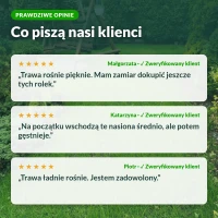 Opinie klientów o trawie na rolce